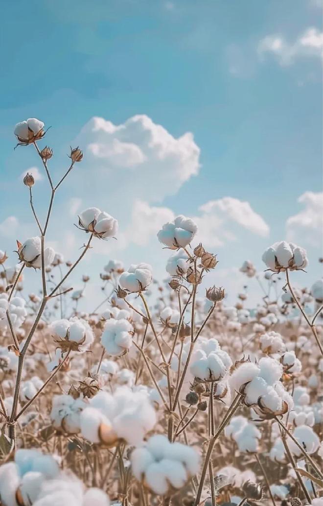 同面料毛巾！我们低价搞到了ky开元棋牌某东来刚上架的(图4)