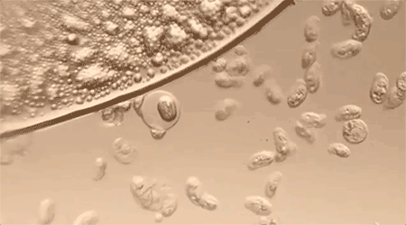 同面料毛巾！我们低价搞到了ky开元棋牌某东来刚上架的(图14)